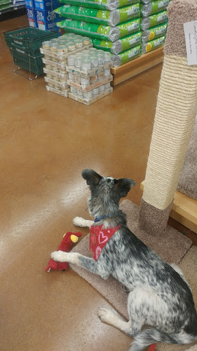 Pet Supply Store «PetPeople», reviews and photos, 4010 Powell Rd, Powell, OH 43065, USA