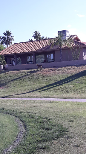 Golf Course «Coyote Run Golf Course», reviews and photos, 1548 Leisure World Blvd, Mesa, AZ 85206, USA