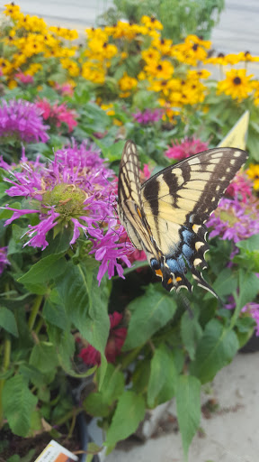 Home Improvement Store «The Home Depot», reviews and photos, 9570 US-20, Perrysburg, OH 43551, USA