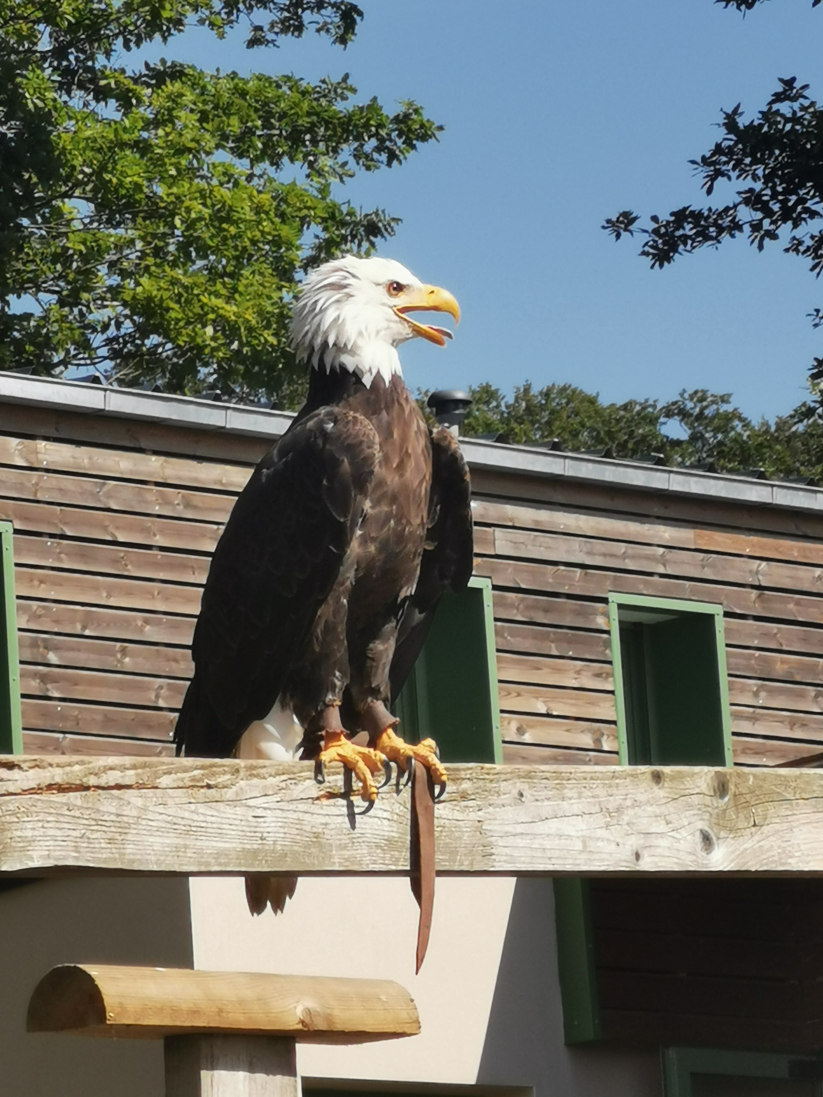 Photo n° 3 de l'avis de Alison. fait le 20/08/2023 à 07:28