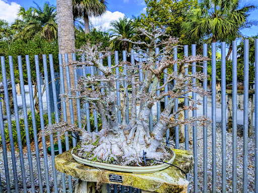 Botanical Garden «Heathcote Botanical Gardens», reviews and photos, 210 Savannah Rd, Fort Pierce, FL 34982, USA