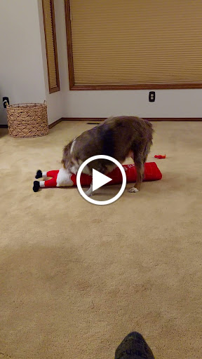 Pet Supply Store «PetSmart», reviews and photos, 430 NW Eastman Pkwy, Gresham, OR 97030, USA