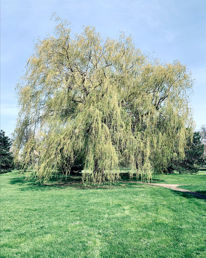 Tourist Attraction «Hoyt Lake», reviews and photos, 199 Lincoln Pkwy, Buffalo, NY 14222, USA