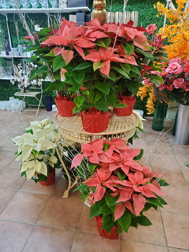 Florist «Blossom Heath Gardens», reviews and photos, 3025 Long Beach Rd, Oceanside, NY 11572, USA