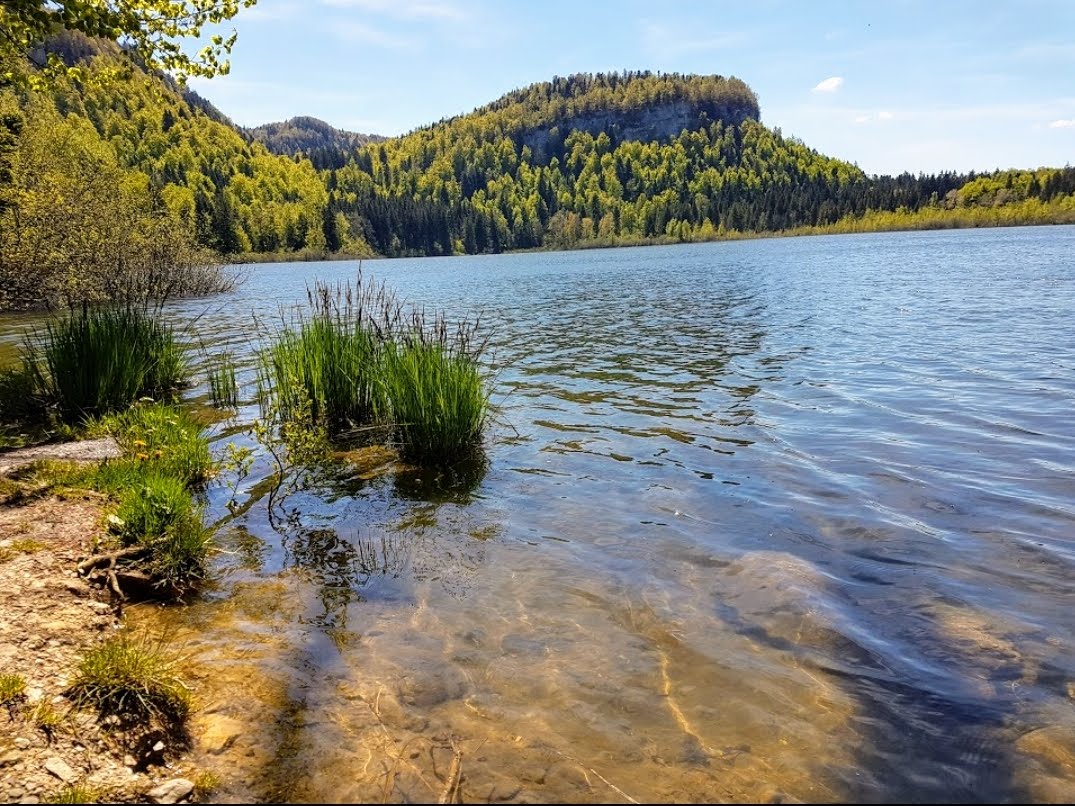 Photo n° 1 de l'avis de Modern.a fait le 03/06/2019 à 23:42