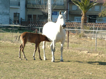 Yeguada Señorío de Jalama