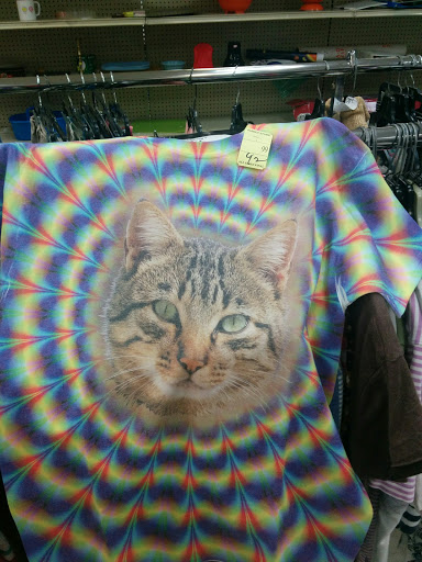 Thrift Store «Salvation Army Family Store», reviews and photos, 34-02 Steinway St, Long Island City, NY 11101, USA