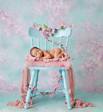 Bugs and Butterflies Photography - Photo 2 - Car repair in Campbell, CA, Santa Clara