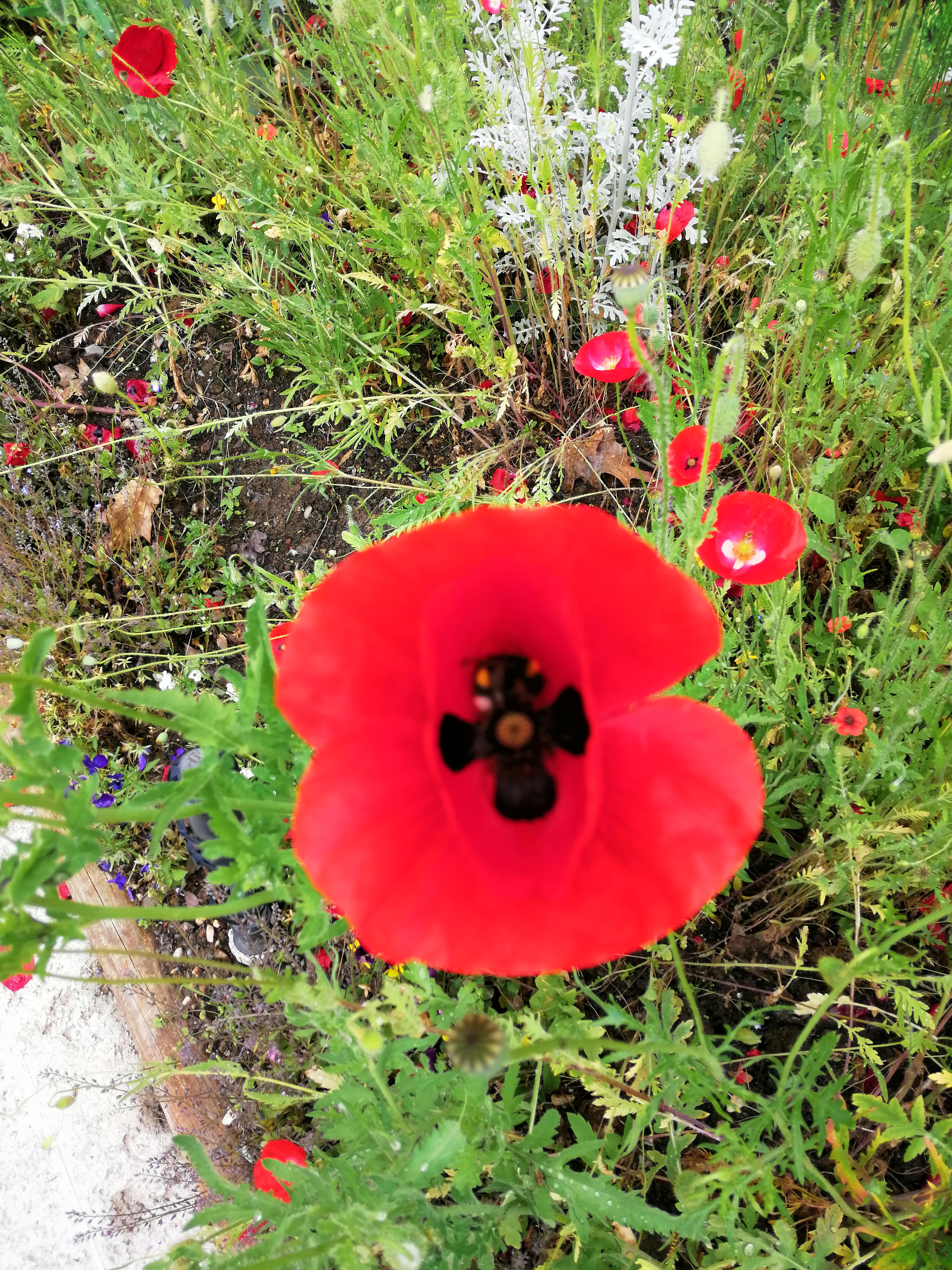 Photo n° 2 de l'avis de Vince.w fait le 26/05/2019 à 14:48