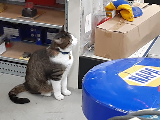 Auto Parts Store «NAPA Auto Parts - Harrison Auto Parts», reviews and photos, 793 Dover Rd NE, Sugarcreek, OH 44681, USA