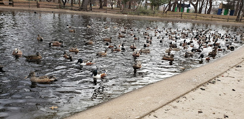 Trinity Park Duck Pond