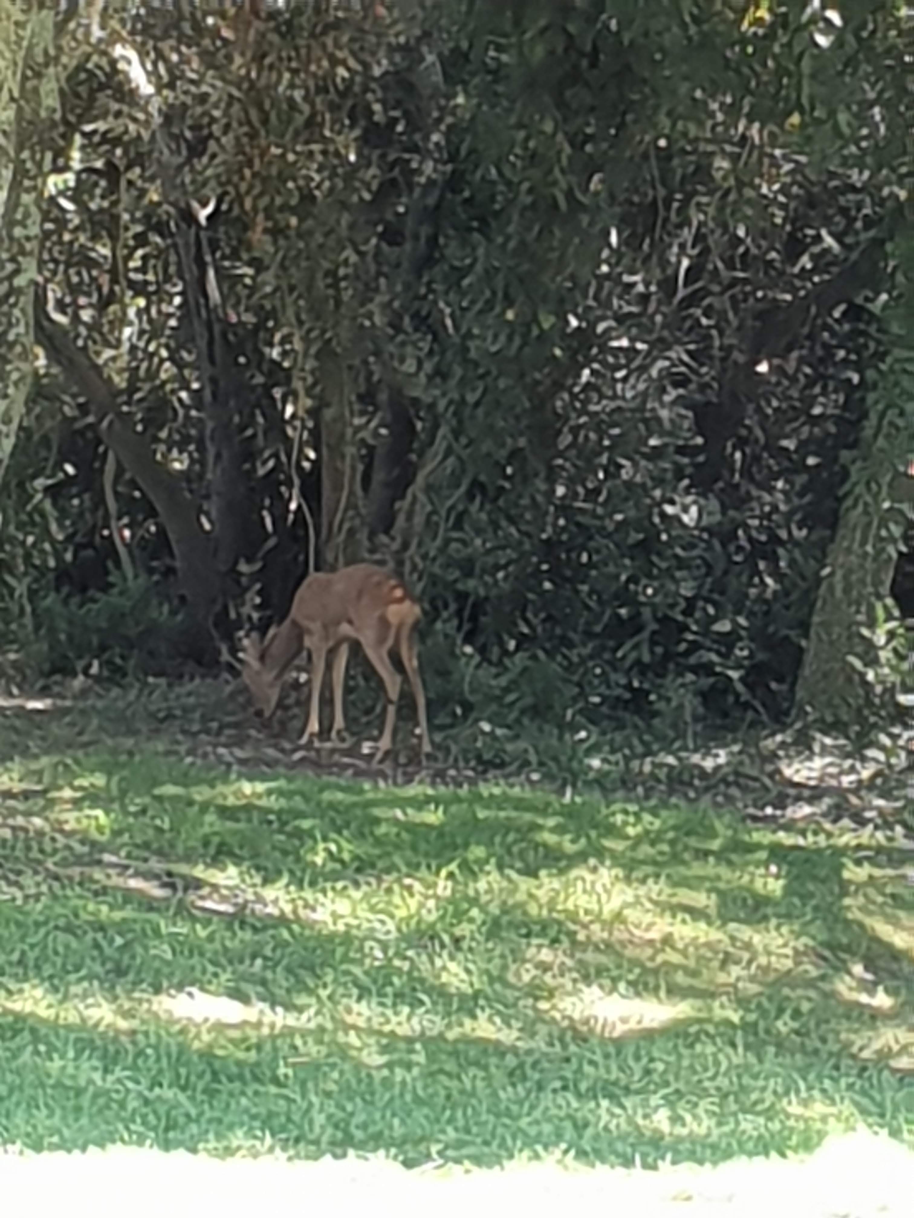 Photo n° 1 de l'avis de Patrick.i fait le 30/08/2018 à 09:03