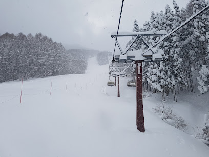 Shinano snow sports