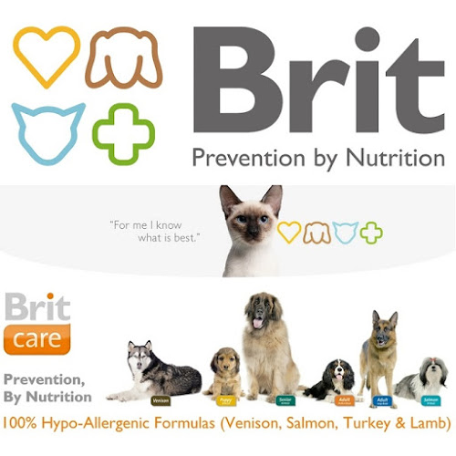 Opinii despre shop4pets în Πυλαία - Εκπαιδευτής σκύλου