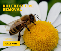 Lance Davis - Killer Bee Live Removal - Photo 9 - Car repair in Palm Desert, CA, Indio