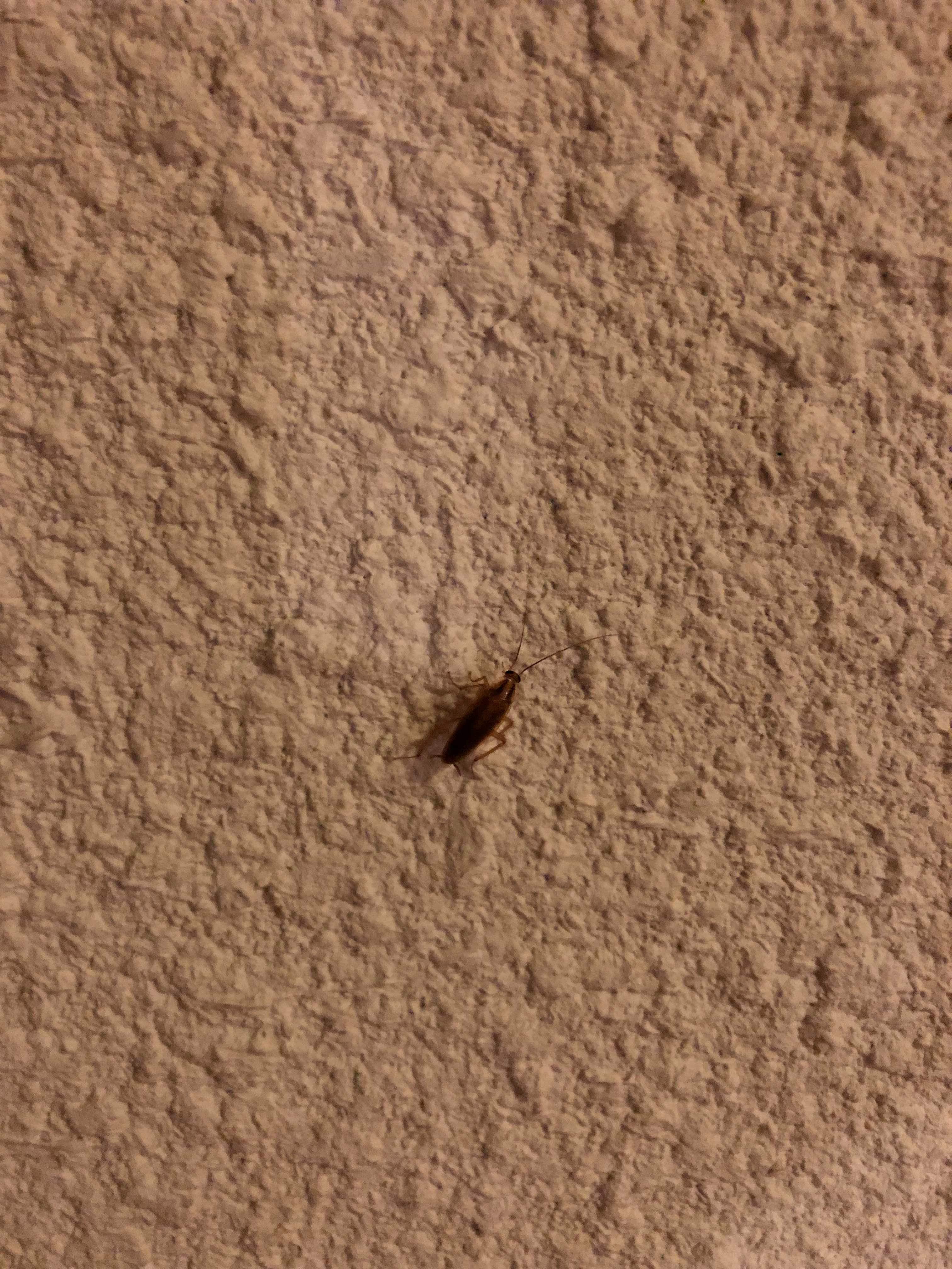 Photo n° 1 de l'avis de Marie.. fait le 08/09/2019 à 06:52
