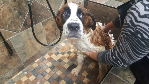 Pet Supply Store «Pet Valu», reviews and photos, 38661 Sussex Hwy, Delmar, DE 19940, USA