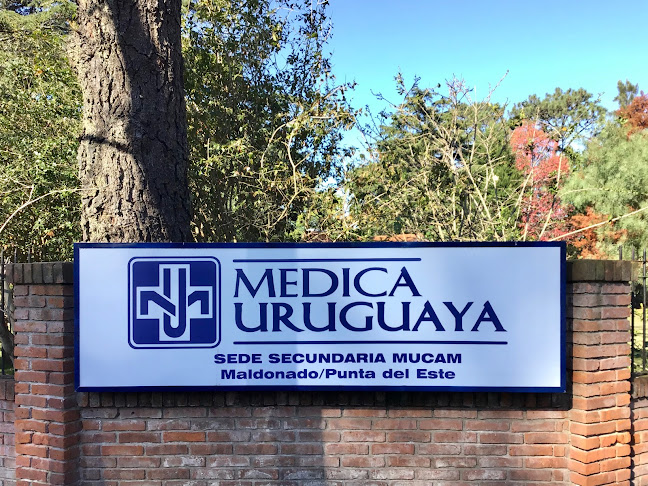 Médica Uruguaya Maldonado - Médico