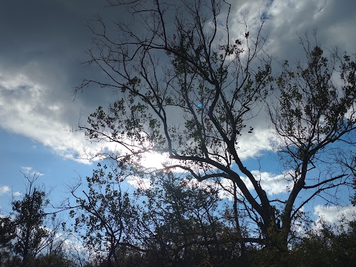 Park «Elizabeth Park», reviews and photos, 4250 Elizabeth Dr, Trenton, MI 48183, USA