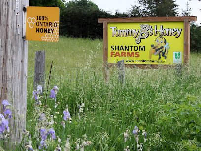 Shantom Farms