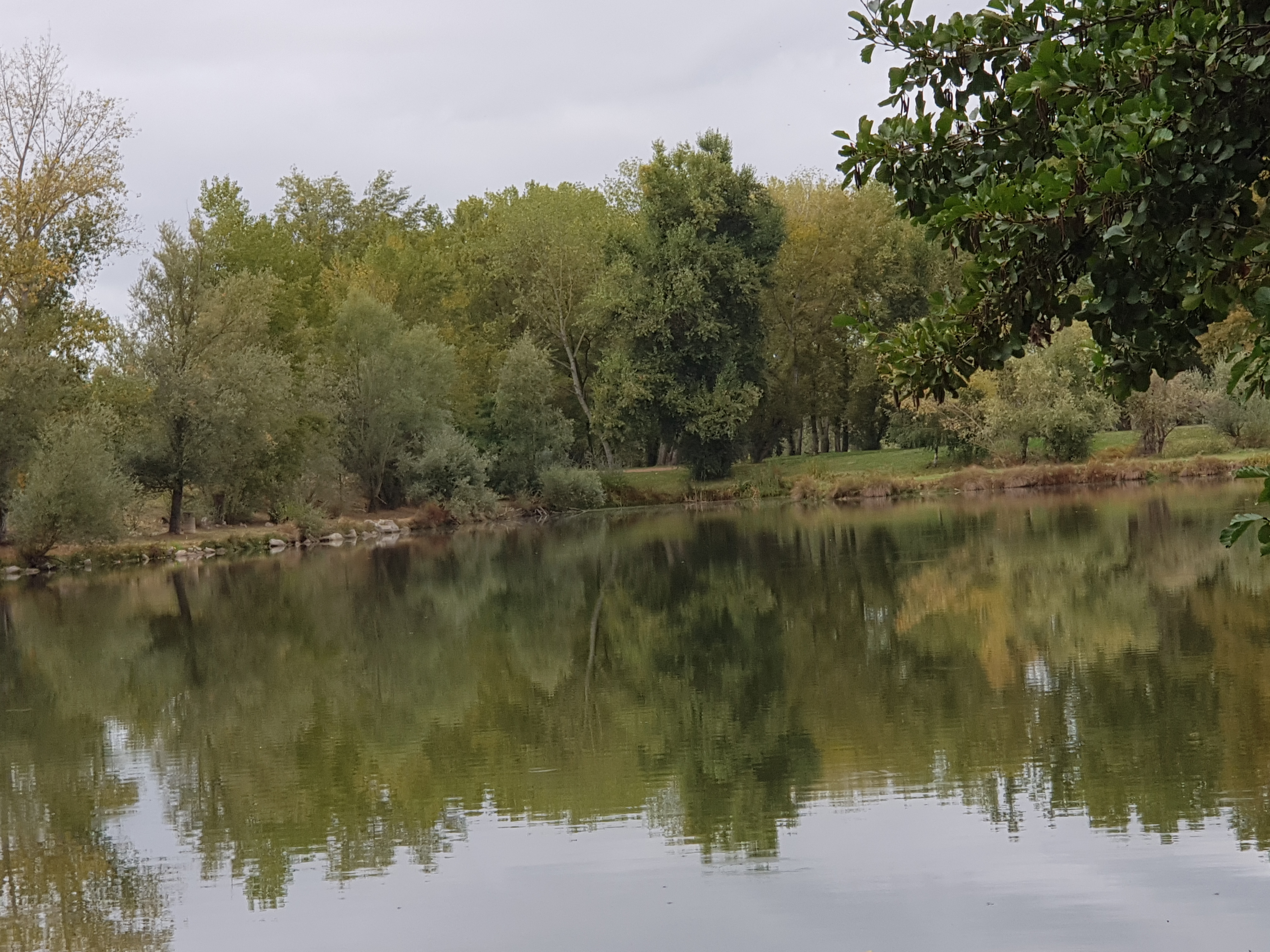 Photo n° 4 de l'avis de elias.o fait le 10/10/2019 à 15:41