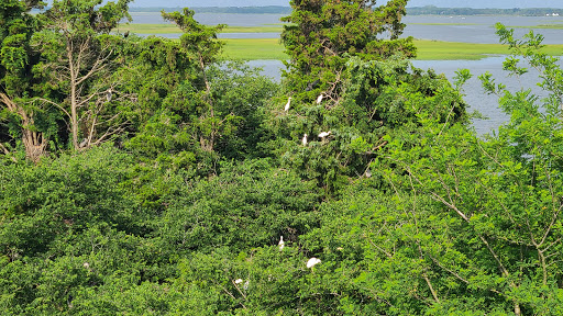  «Ocean City Welcome Center», reviews and photos, 300 W 9th St, Ocean City, NJ 08226, USA