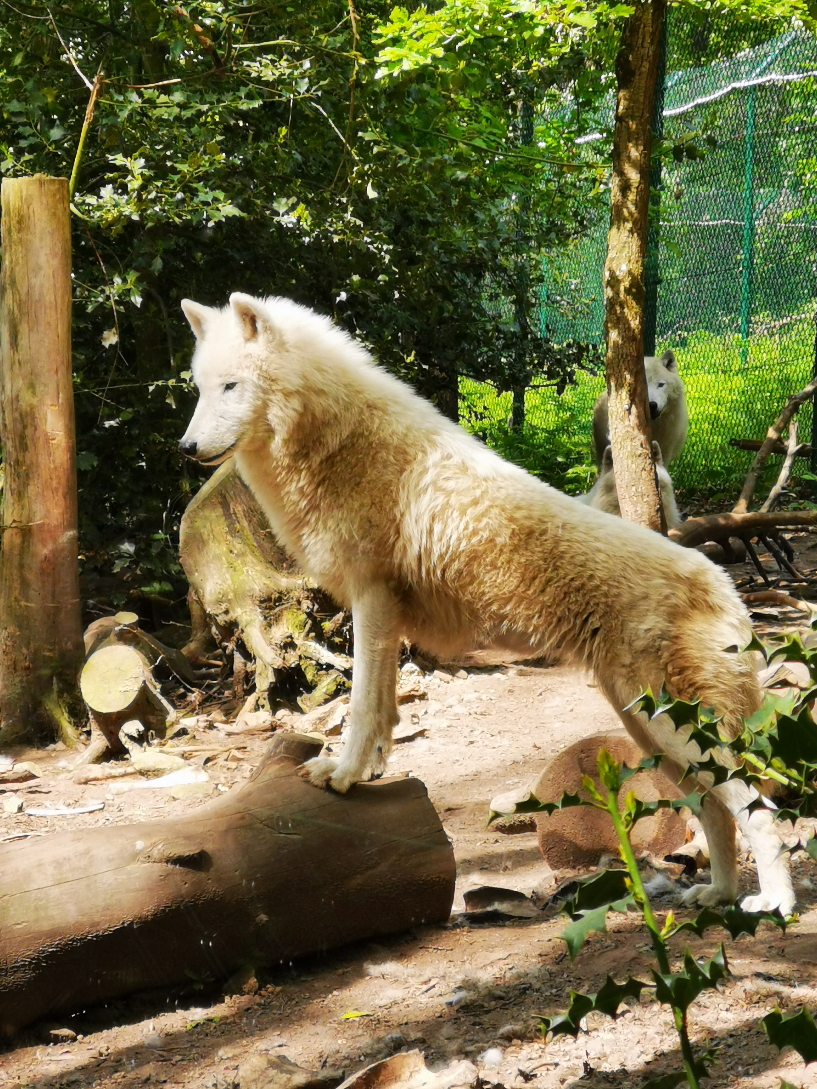 Photo n° 1 de l'avis de Guillaume.e fait le 22/05/2023 à 08:10