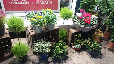 Monceau Fleurs à Vernon