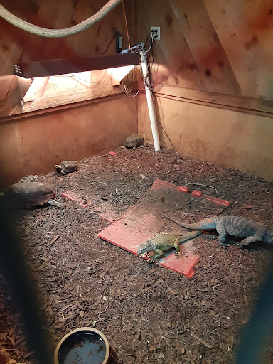 Pet Groomer «Edgewood Pet Center», reviews and photos, 3236 State Rd, Ashtabula, OH 44004, USA