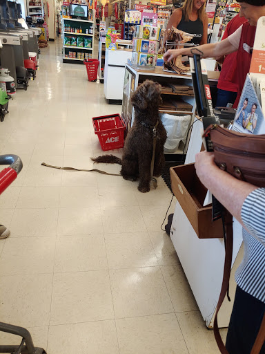 Hardware Store «Ace Peninsula Hardware», reviews and photos, 12490 Warwick Blvd, Newport News, VA 23606, USA