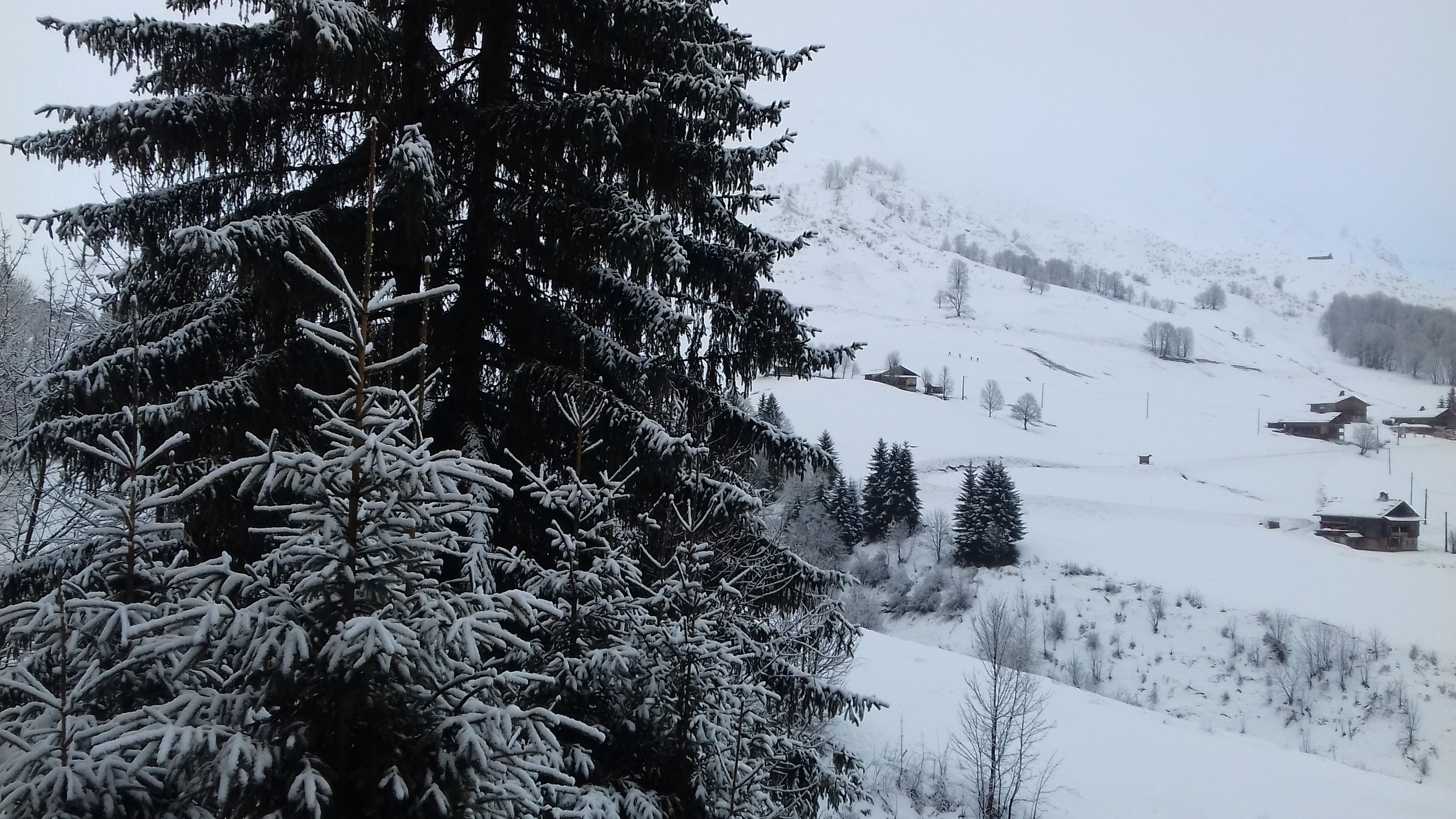 Photo n° 2 de l'avis de Thierry.e fait le 08/01/2020 à 12:17