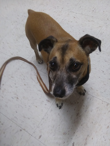 Veterinarian «Pet Vet Supply», reviews and photos, 1215 E Lockheed Dr, Oklahoma City, OK 73110, USA