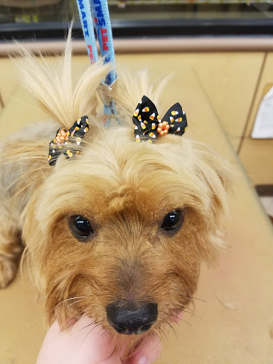 Pet Supply Store «PetSmart», reviews and photos, 1300 John F Kennedy Rd, Dubuque, IA 52002, USA