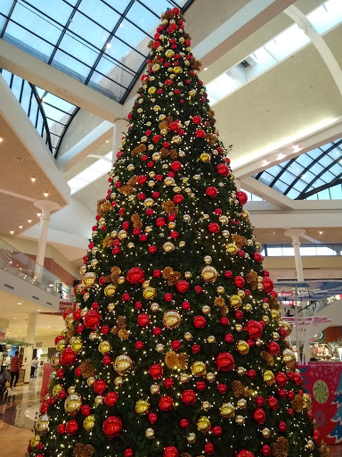 Shopping Mall «Tucson Mall», reviews and photos, 4500 N Oracle Rd, Tucson, AZ 85705, USA