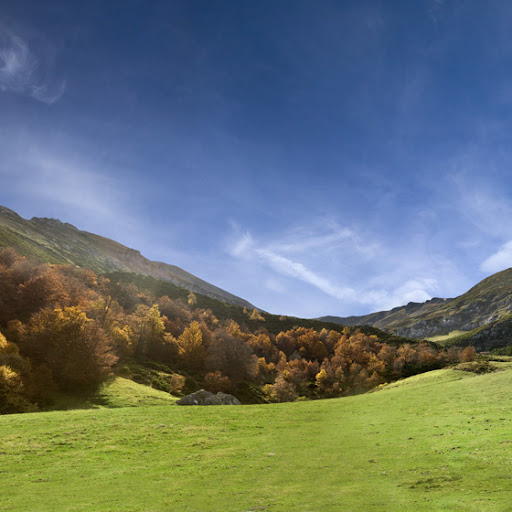 FUNERARIA RODRIGUEZ POTES en Cantabria