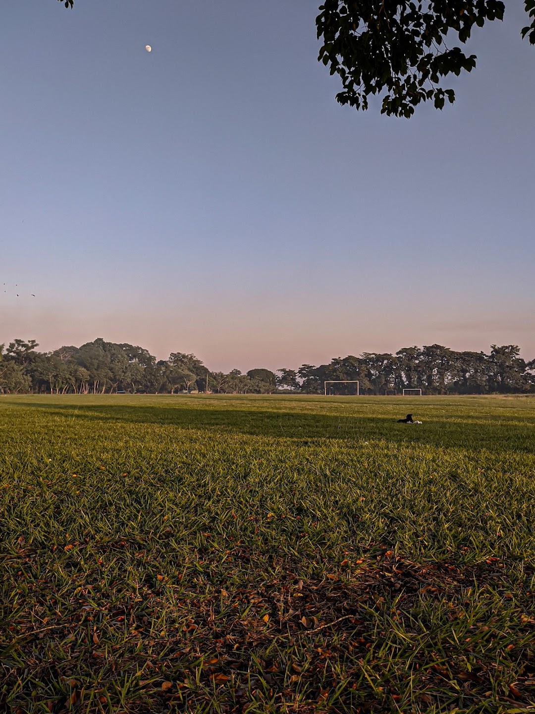 Campo Deportivo el Porvenir