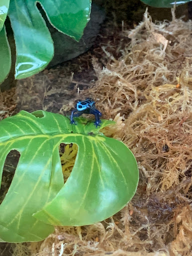 Pet Supply Store «Petco Animal Supplies», reviews and photos, 10225 Ocean Hwy #501, Pawleys Island, SC 29585, USA