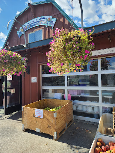 Family Restaurant «Blueberry Hills Farm», reviews and photos, 1315 Washington St, Manson, WA 98831, USA