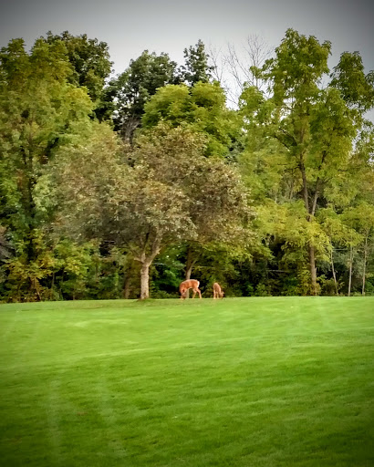 Golf Club «Blackhawk Golf Club», reviews and photos, 8830 Dustin Rd, Galena, OH 43021, USA