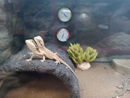 Pet Supply Store «Petco Animal Supplies», reviews and photos, 1500 N Town E Blvd, Mesquite, TX 75150, USA