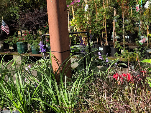 Hardware Store «Orchard Supply Hardware», reviews and photos, 2555 Charleston Rd, Mountain View, CA 94043, USA