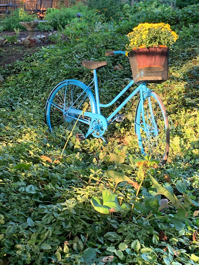 The Blue Bike