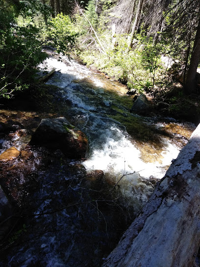 Renwyck Creek Trailhead