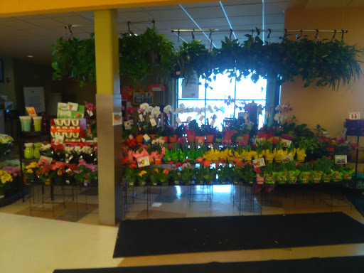 Grocery Store «Hannaford Supermarket», reviews and photos, 65 Portland Rd #9, Kennebunk, ME 04043, USA