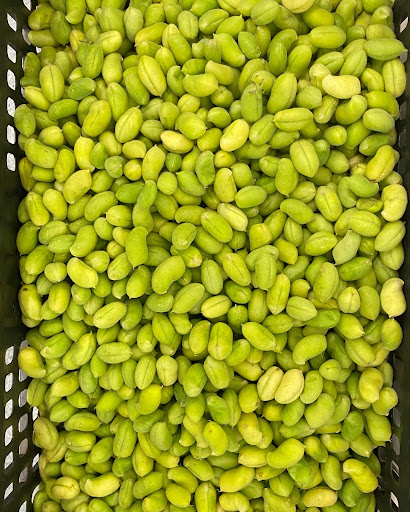 Kosher Grocery Store «Al-Taiba Market», reviews and photos, 1008 W Chapel Hill St, Durham, NC 27707, USA