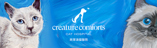 Creature Comforts Cat Hospital 將軍澳貓醫院