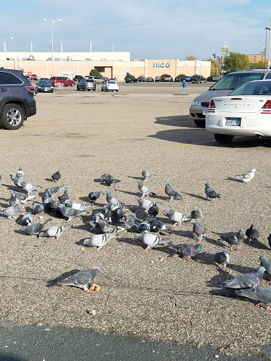 Discount Store «Kmart», reviews and photos, 10 W Lake St, Minneapolis, MN 55408, USA