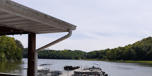 Laurel River Lake Picnic Area