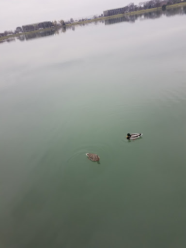 Golf Course «Lake Park Golf Course & Marina», reviews and photos, 1015 Howard Ave, Des Plaines, IL 60018, USA