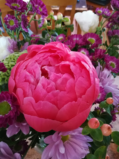 Florist «Metropolitan Plant and Flower Exchange», reviews and photos, 471 NJ-10, West Orange, NJ 07052, USA
